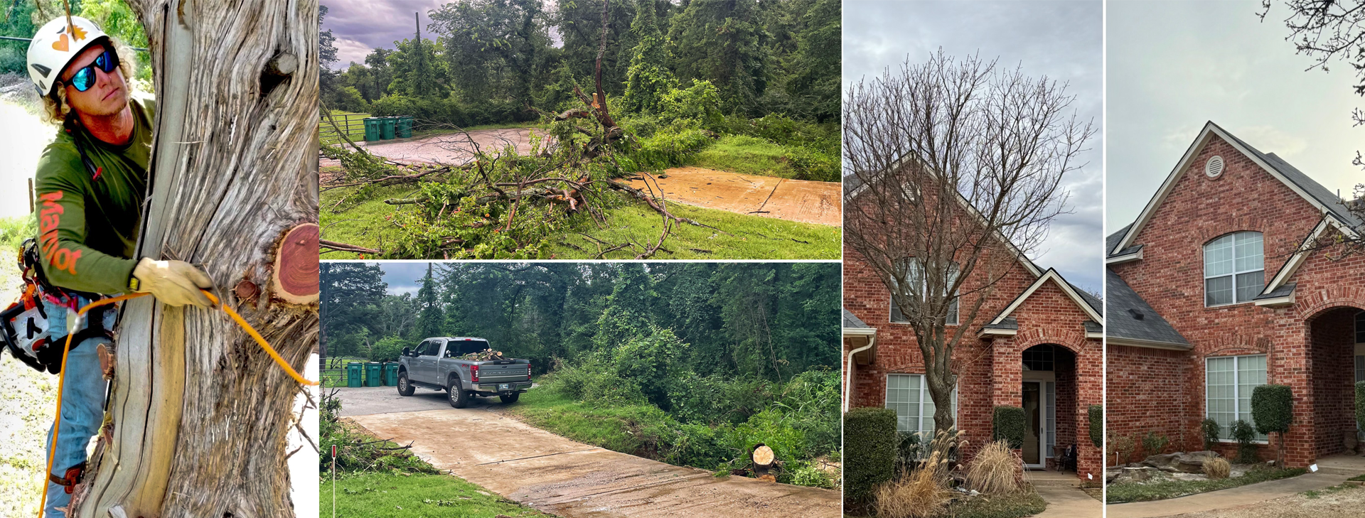 Setting a New Standard For Tree Removal in OKC/Edmond