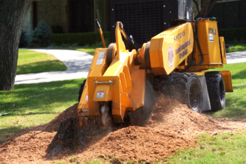 Stump Grinding